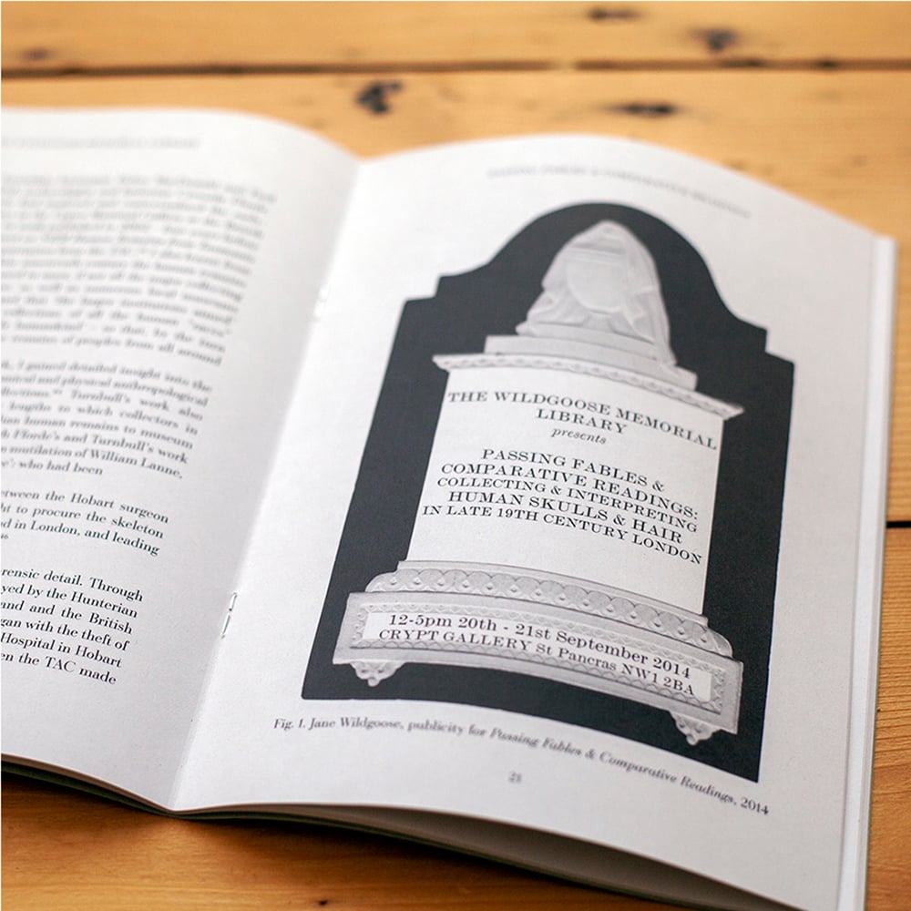 Image of Passing Fables & Comparative Readings, Jane Wildgoose