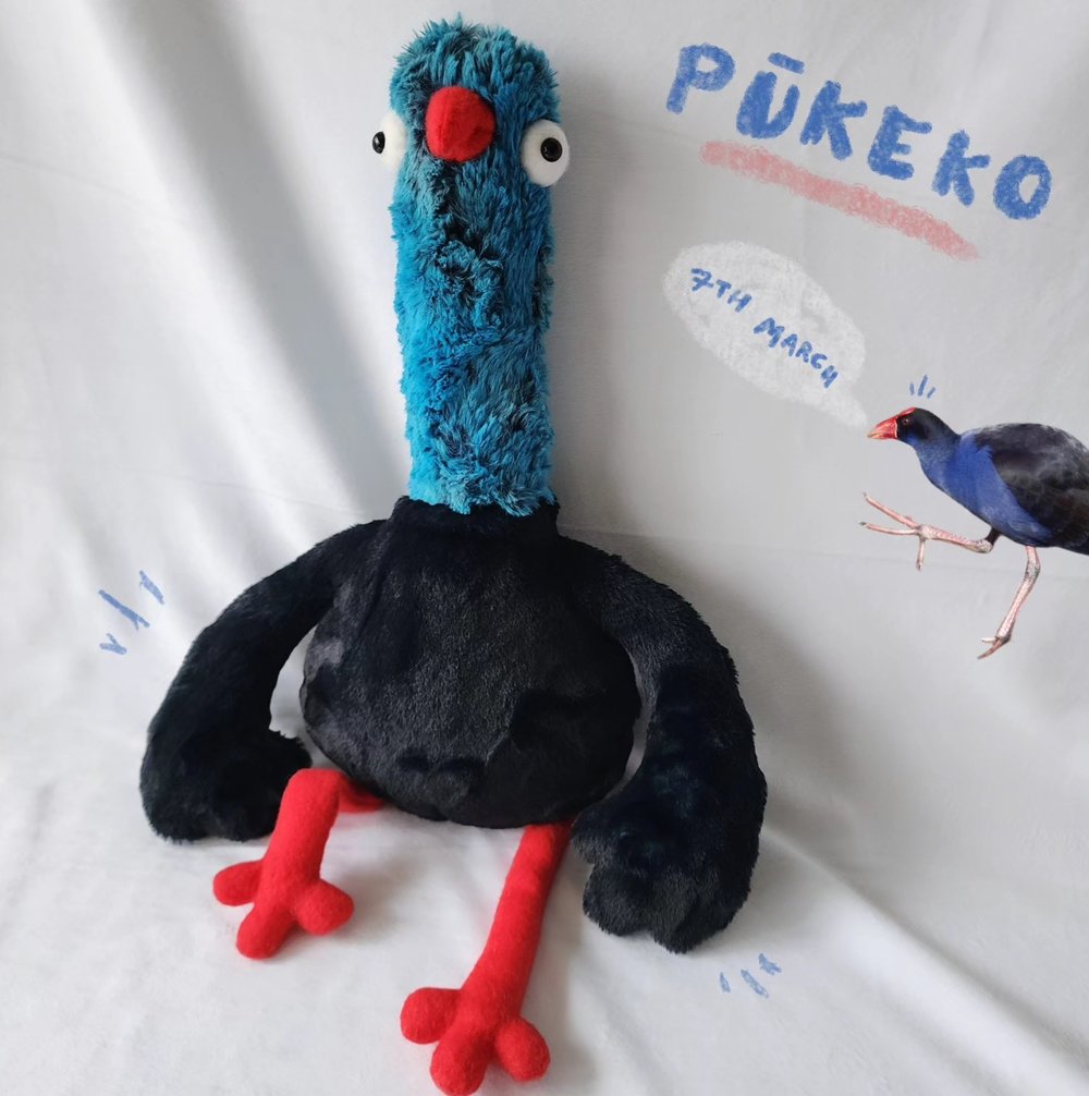 Image of Pukeko