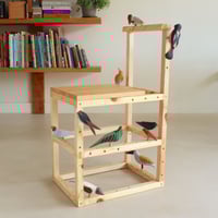 Image 1 of Aviary chair