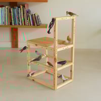 Image 2 of Aviary chair