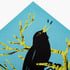Spring Blackbird card Image 2