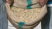 Sumatra FTO (Women Producers)