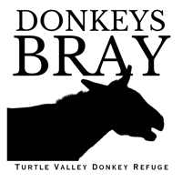 Image 3 of CLEARANCE SALE - Donkeys Bray - Recycled Cotton Super Tote
