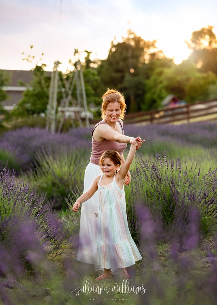 Image of Lavender Farm Mini 