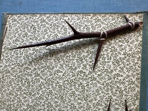 Image of Misunderstood - one of a kind collage