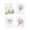 All Occasion Greeting Cards Value Box - Assorted Birthday & General Variety Pack