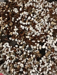 Root Wata HOUSE Potting Soil Blend (64 oz.)