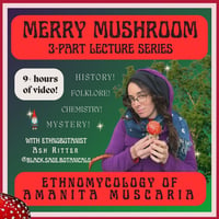 Image 1 of CLASS RECORDING • Merry Mushroom :: Amanita muscaria Ethnomycology • updated 2024 3 part series