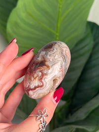 Image 5 of MEXICAN LACE AGATE SHIVA G