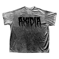 Image 1 of SHATTERED TEXT_