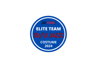 2024 ELITE TEAM 10/U JAZZ COSTUME