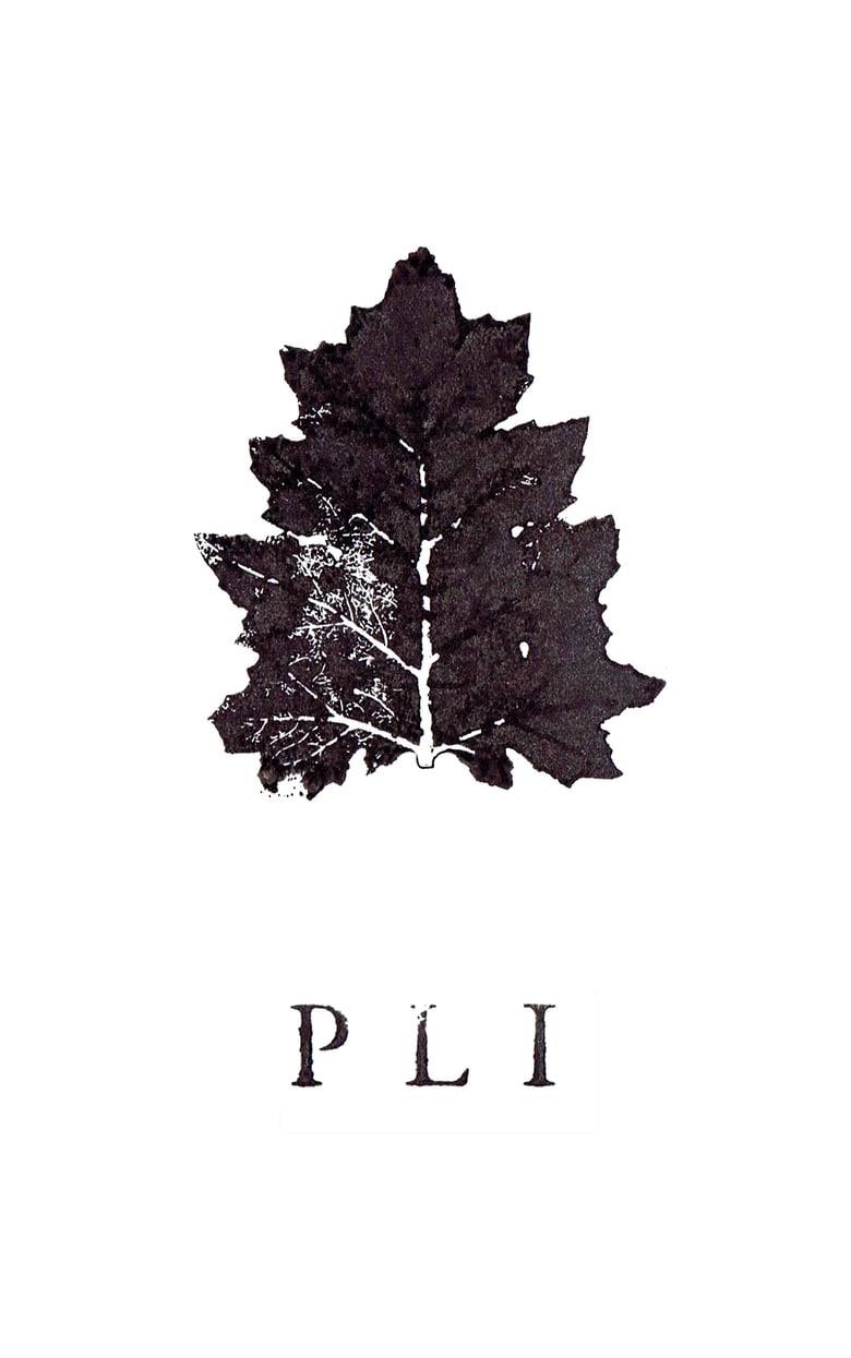 Image of PLI 15