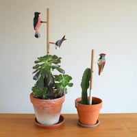 Image 2 of 3 wooden birds + 2 plant stakes