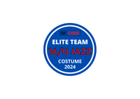 2024 ELITE TEAM 16/U JAZZ COSTUME