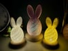 Easter Egg Bunny LED Lamp (2x)