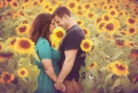 2024 Sunflower field mini sessions - July and August 2023