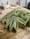 Image of Green Man Door Knocker