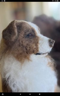 Image 3 of 6"Australian Shepherd