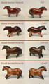Ancient Horses: Solid Glaze Image 2