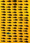 Steve McCracken "Blue Fish... Yellow..." Original