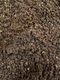 Image of Neem Seed Powder