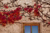 Santa Fe Autumn 