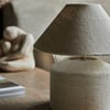Auckland Table Lamp by Abigail Aherne
