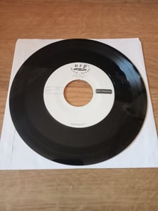 Image of No Idea Records 7" TEST PRESSES