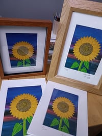 Image 1 of Sunflower limited edition print