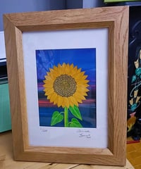 Image 2 of Sunflower limited edition print