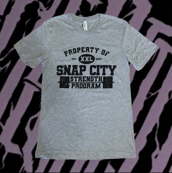 Image of Snap City — Property Of