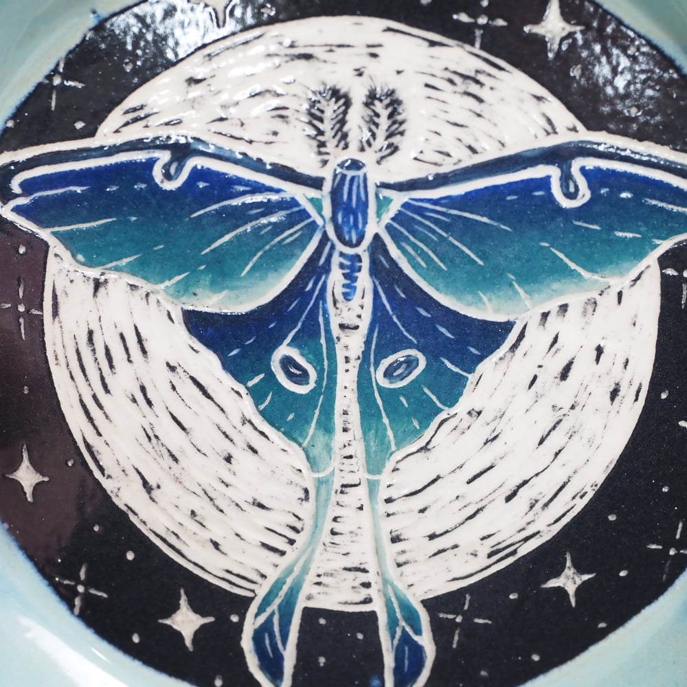 Image of Luna Moth Plate 