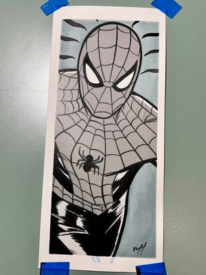 THE AMAZING SPIDER-MAN (FLASH CARD)