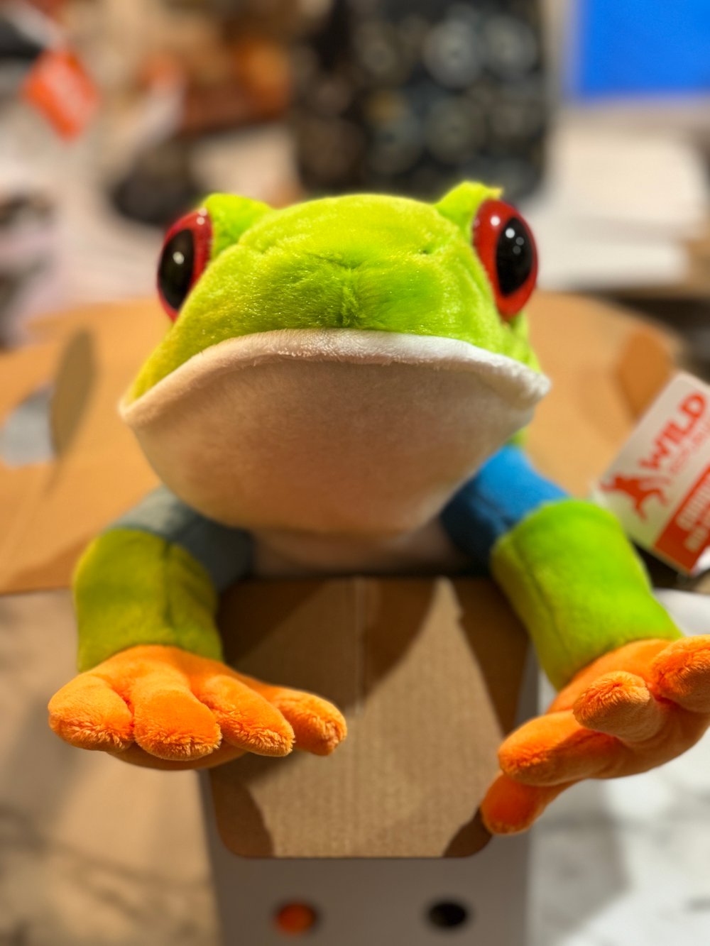 Green Tree Frog Adopt-A-Plush