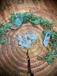 Image 2 of Fairy Ring Incense, Fairy Connection, Spiritual Fae, Fae Magick, Fairy Magic, Spiritual Incense, Sha
