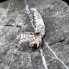 Arachne Jaw