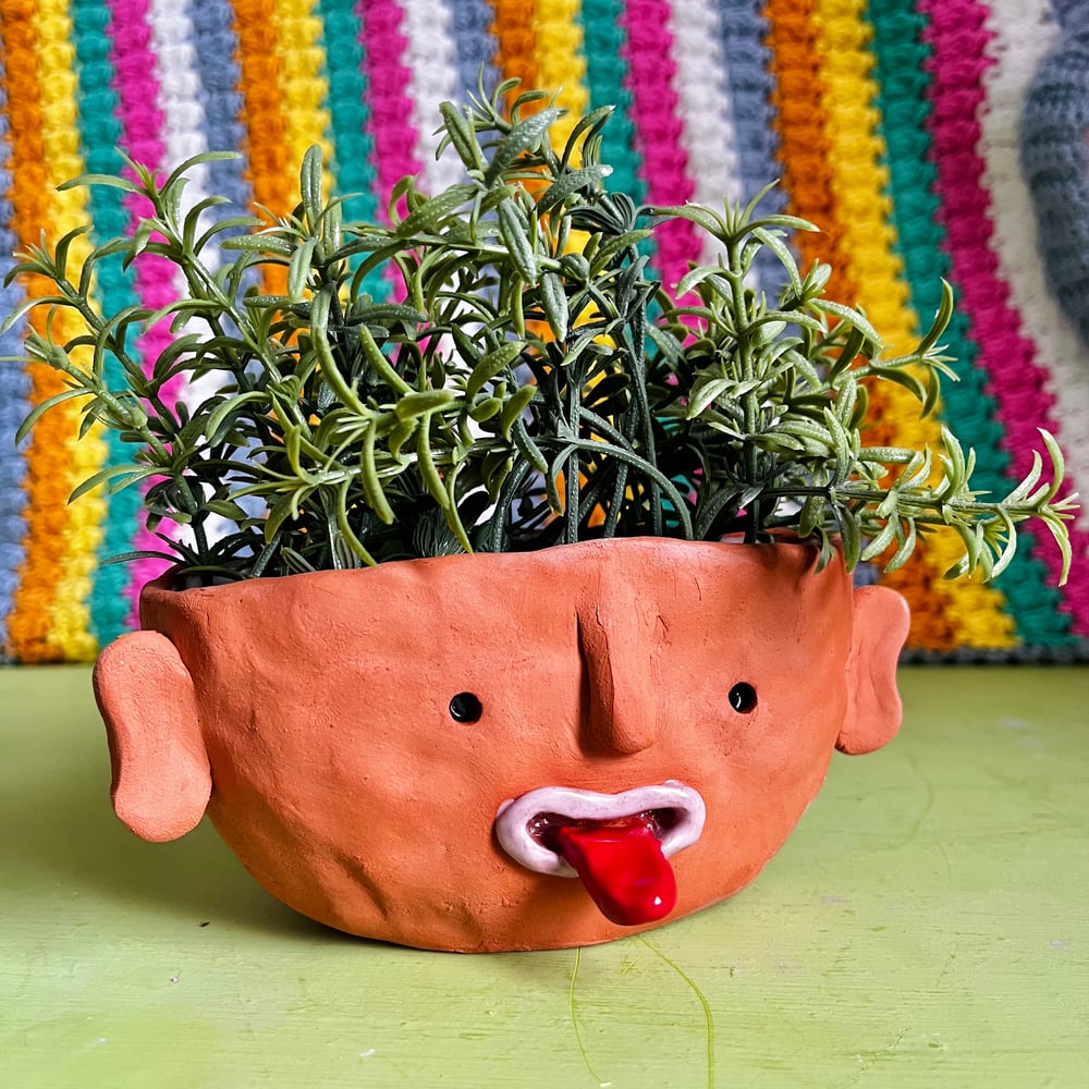 Image of Raspberry head pot