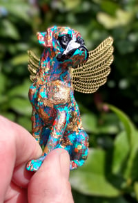 Image 1 of Male Gold Aqua Rainbow Boxer Angel 