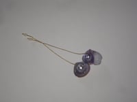 Image 3 of Purple Shell