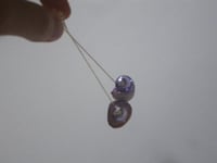 Image 4 of Purple Shell