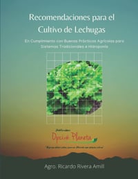 Image 1 of Recomendaciones para el Cultivo de Lechugas 