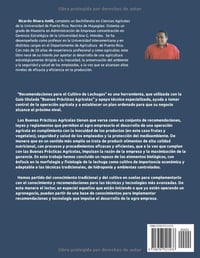 Image 2 of Recomendaciones para el Cultivo de Lechugas 