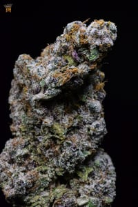 Image 3 of FA - Nana