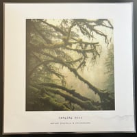 Image 2 of hanging moss "Autumn Journeys & Reflections" LP Reissue