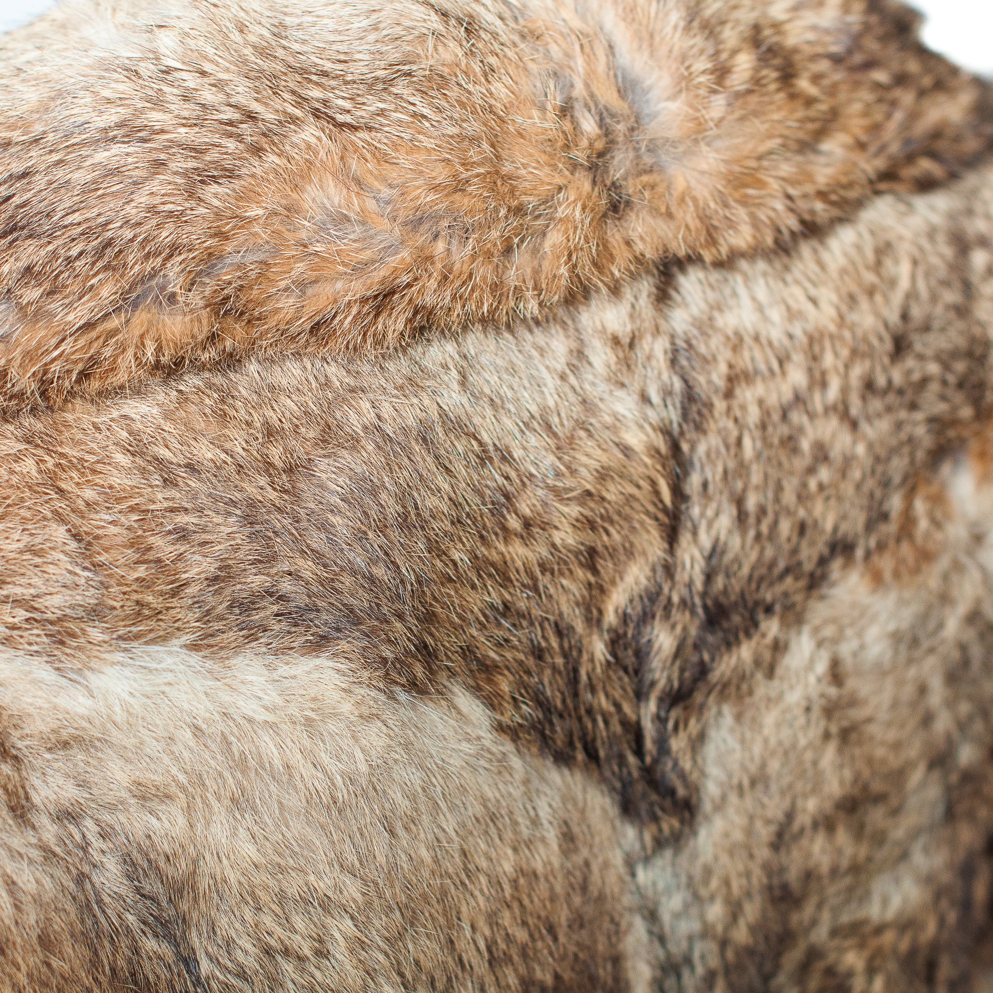 Image of Brown Rabbit Fur Vintage Short Coat.