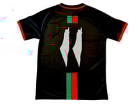 Image 2 of Palestine Jersey