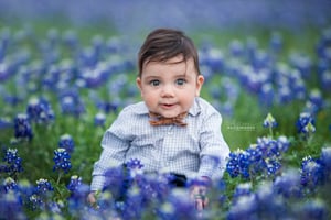 Image of WEEKEND BLUEBONNET + WILDFLOWER SHORT SHOOTS 2024