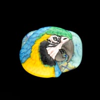 Image 1 of XXL. Curious Blue & Gold Macaw - Flamework Glass Sculpture Bead 