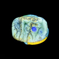 Image 2 of XXL. Curious Blue & Gold Macaw - Flamework Glass Sculpture Bead 