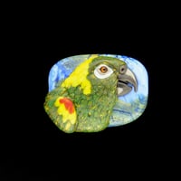 Image 1 of XL. Dark Yellow-Naped Amazon Parrot - Glass Sculpture Bead